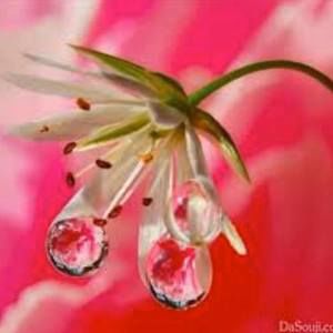 Meet your Posher, Candy